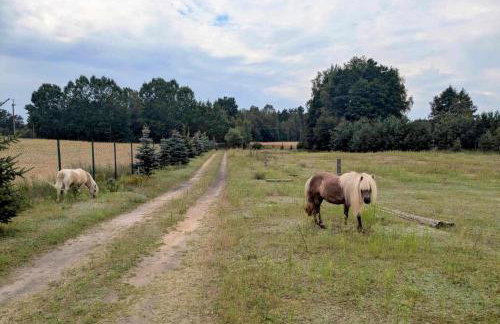 Hacienda Natura Agroturystyka - Photo 1