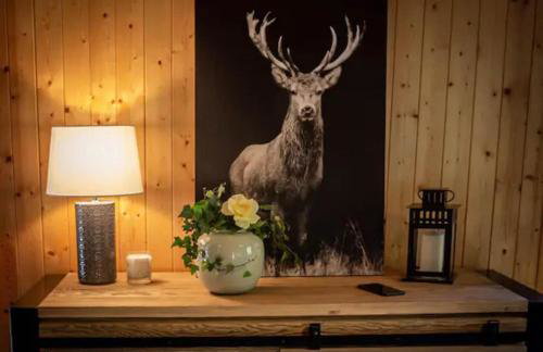 Chalet Bellevue Vue exceptionnelle - Photo 4