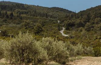 Kis Residence - Adults Only - Foto 20