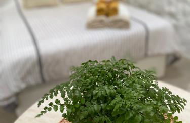 Casa Kira, Macher - Foto 8