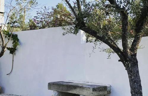 Villa Olivi - a natural paradise near Motovun - Foto 56