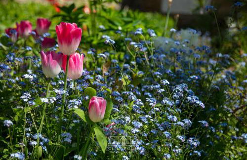 Cliff House Holiday Cottages - Foto 59