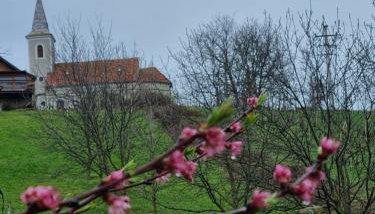 Holiday Old stone house - Foto 4