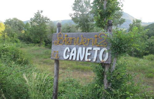 El Ensueño - Photo 21