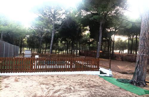 Casa Selene - Foto 22