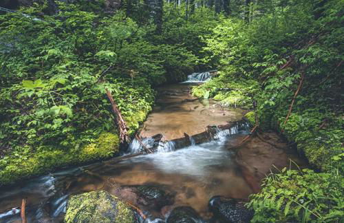 Chalet am Berg - Meredith Lodging - Foto 4