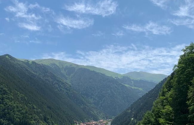 Auga Apart - Foto 18