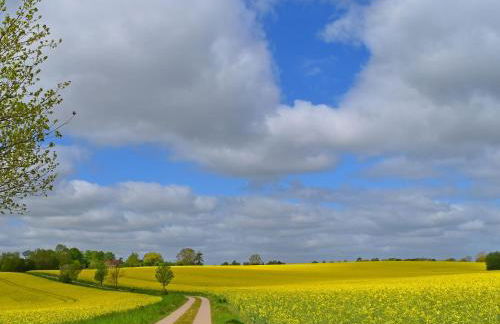 Ferienwohnung im Gutshaus Schulenbrook - Foto 25