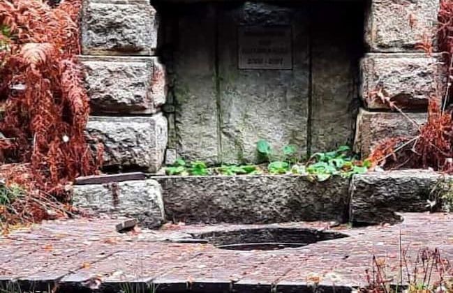 Schloß Schönberg - Foto 48