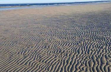 Ferienwohnung für Naturliebhaber - Foto 31