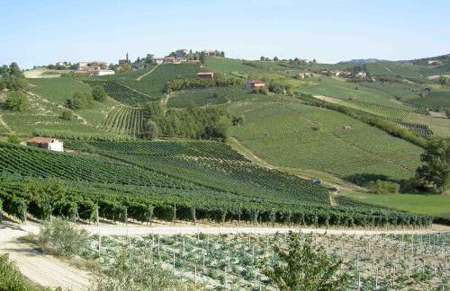 Agriturismo Vecchio Torchio - Foto 26