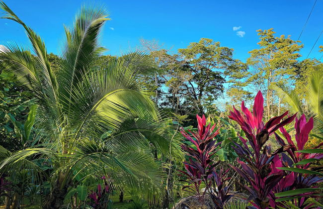 Yakari Grei Bungalows - Foto 20