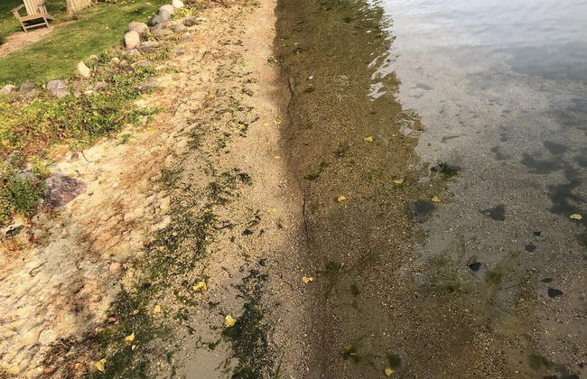 Longview Lodge - Foto 43