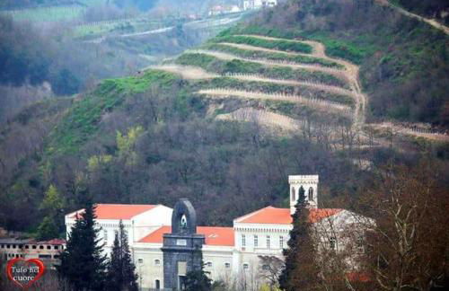 LE RIVE - Soggiorno/Vacanza a TUFO (Avellino) - Photo 17