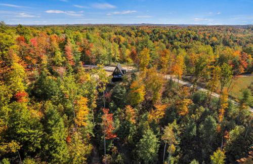 Hot-Tub Sauna Cold Plunge - Evergreen Escape - Foto 22