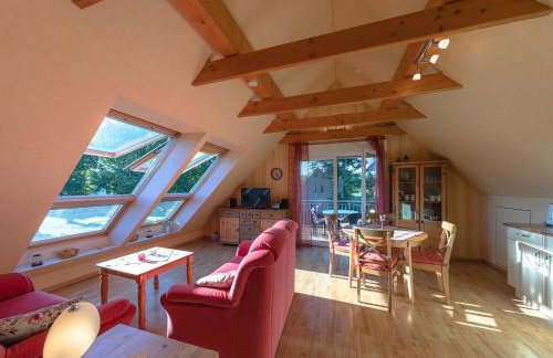 Butterblume DG - Foto 2