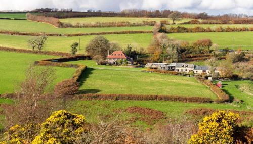 West Hollowcombe Farm Cottages - Full Site - Foto 4