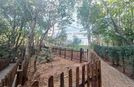 Flat Aconchegante - Park Veredas 417 - Foto 60