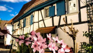 Hexenhäuschen Dreieichenhain - Foto 2, Garden