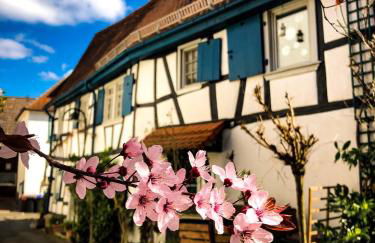 Hexenhäuschen Dreieichenhain - Foto 2