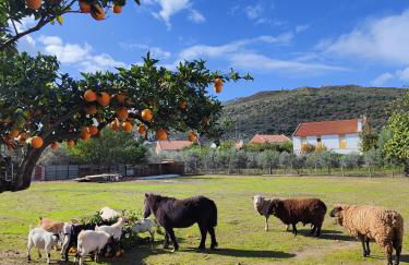 Quinta da Ponte das Hortas 3 - Foto 34