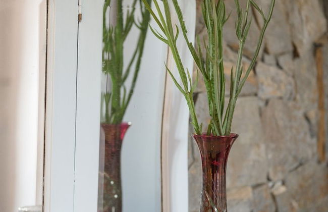 Monte Gois Country House e Spa - Foto 46