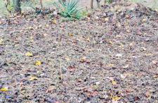 North Star Retreats - Foto 44