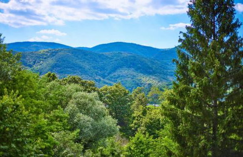 Gorgeous Home In Zagreb With Wifi - Foto 15