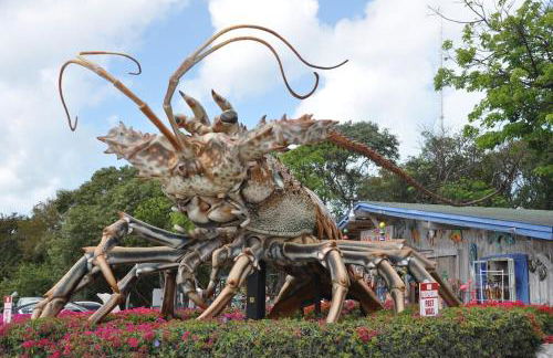 Tropical Daze Oceanfront Paradise - Foto 28