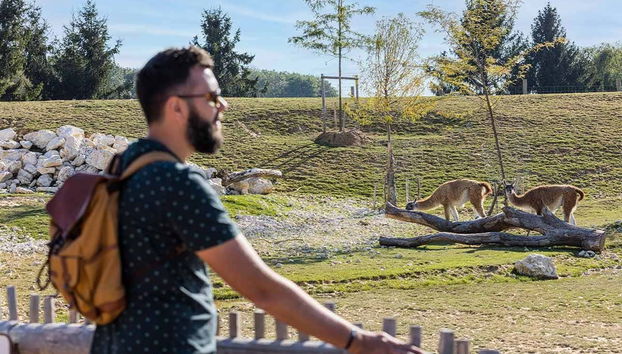 Parrot World Ticket - Foto 4