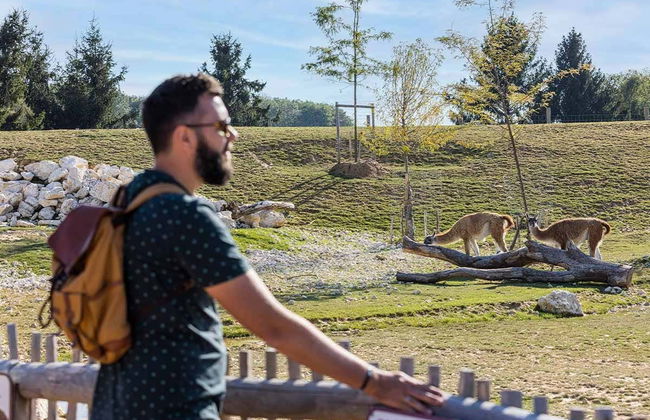 Biglietti per Parrot World - Foto 4