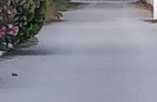 Elizas house - Foto 8