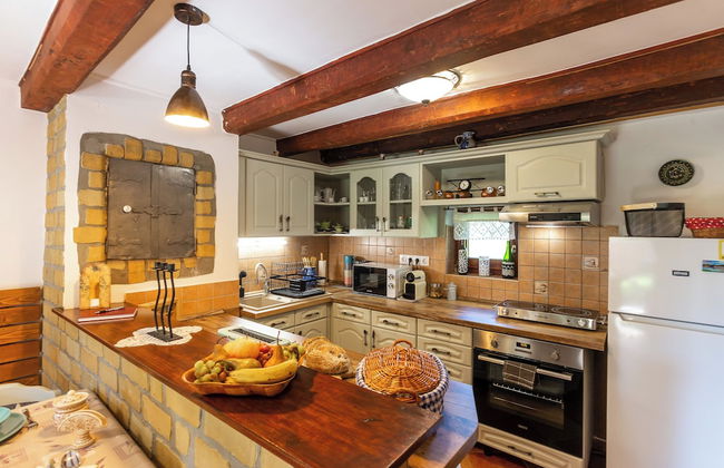 The Bird of Happiness-heaven for Dogs - Foto 10