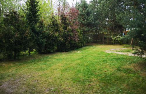 domki nad jeziorem, las, do 10 osób jezioro Wilczyńskie Budzisławskie - domek letniskowy osobno ogrodzony, ogrzewany mile widziane pieski, zwierzeta- wielkopolska, 62-550 Zygmuntowo gm Wilczyn - Photo 7