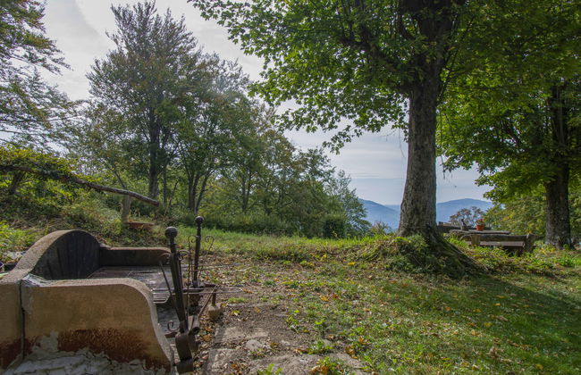 I 3 Faggi - Photo 26