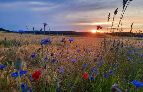 Apartments bei Playmobil EG,130m2,große Terassen,24h Self Check-in, free Parking - Foto 34