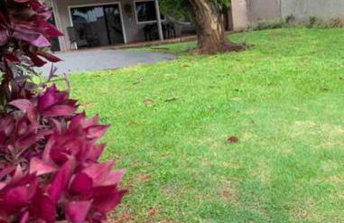 casa jardim Eliza - Foto 32