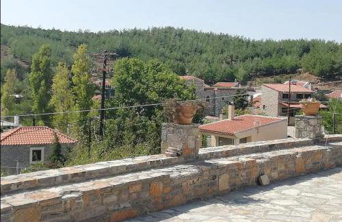 Εθιά Παραδοσιακή πετρόχτιστη οικία Ethia Traditional house of stone - Foto 5