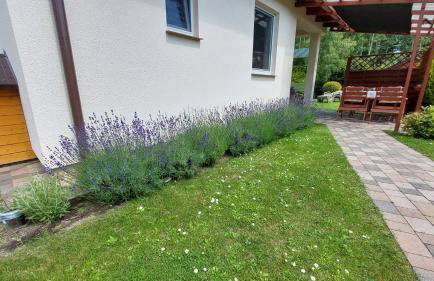 domek Lawendowy na wiejskiej - Foto 29