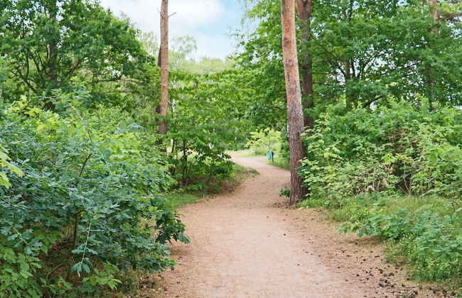 4 Person Holiday Home in Halmstad-by Traum - Foto 20