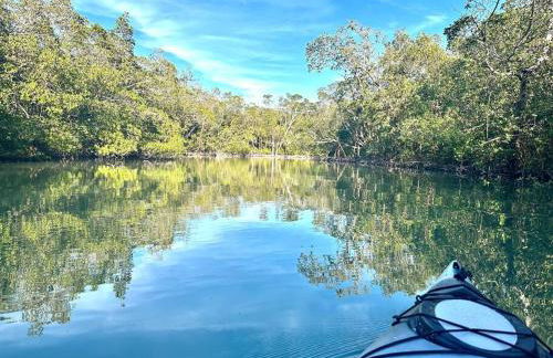 Luxury condo near Wiggins pass beach & park - Foto 37