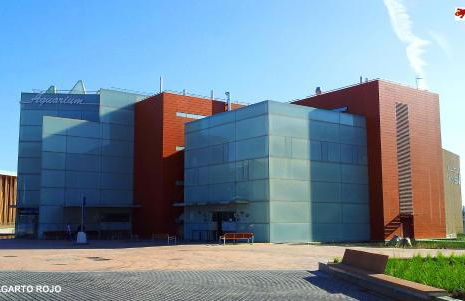 EXCLUSIVO TAPAS EL TUBO CHECKIN 24H Centro 1 - Photo 30