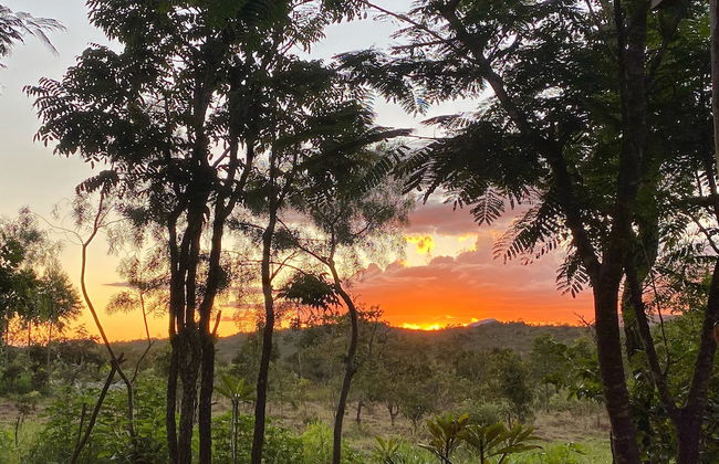 Terra Coral - Chapada dos Veadeiros - Foto 70