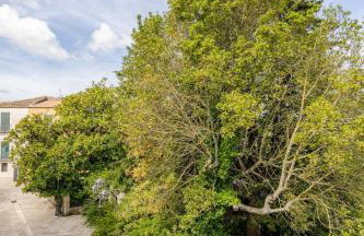 Filocase The Terrace of Storytellers - Foto 43