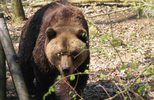 Uttied - Perfekte Auszeit direkt am Plauer See - Foto 35