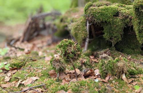 Ferienwohnung Mühl - Familienfreundlich, 2 Schlafzimmer, großes Grundstück, Erzgebirge - Foto 60