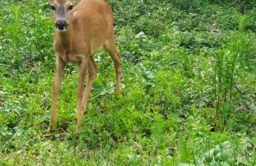 Apartment Vanda - Foto 32