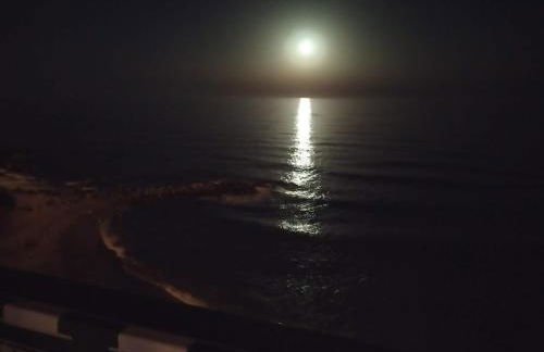 Apartamento en Playa Semi-Privada - Foto 8