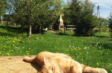 Domek u Piotra koło Szczyrku - Foto 9