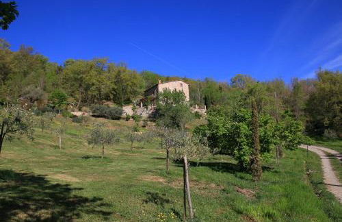 Podere Piandicava - Foto 15